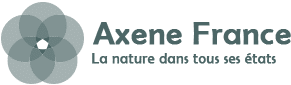 Axene France Logo